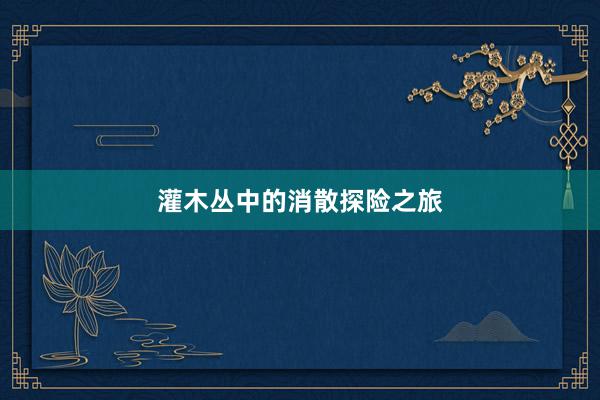 灌木丛中的消散探险之旅