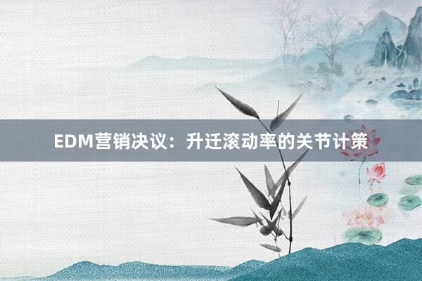 EDM营销决议：升迁滚动率的关节计策